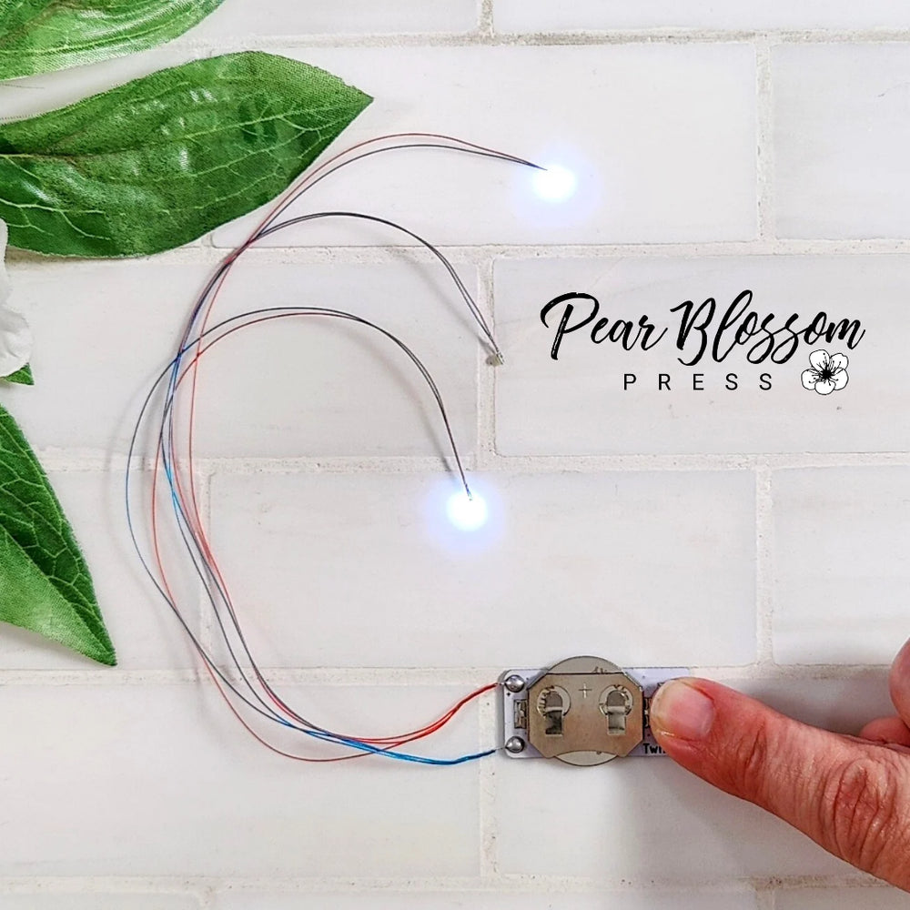 Twinkle Light - 3 Pack