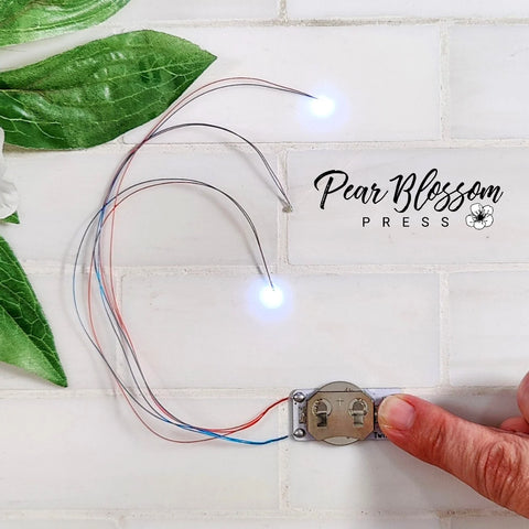 Twinkle Light - 3 Pack