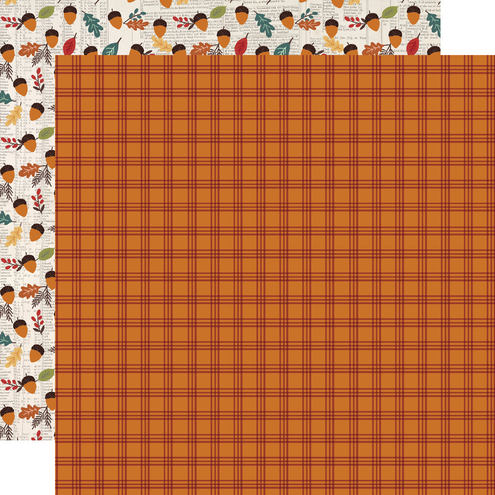 Cider & Donuts Bushels of Fun 12x12 Patterned Paper