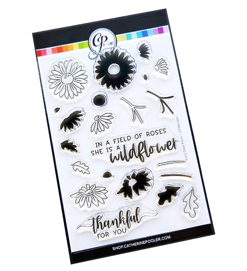 Catherine Pooler Daisy Days Floral Stamp for Card Making