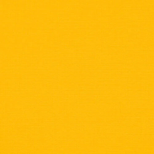My Colors Cardstock - Banana Pepper