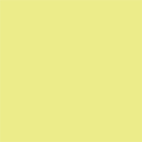 My Colors Cardstock - Key Lime 12x12 Cardstock