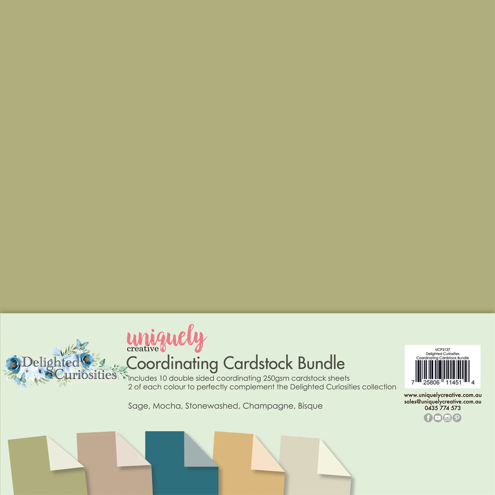 Delighted Curiosities 12x12 Coordinating Cardstock