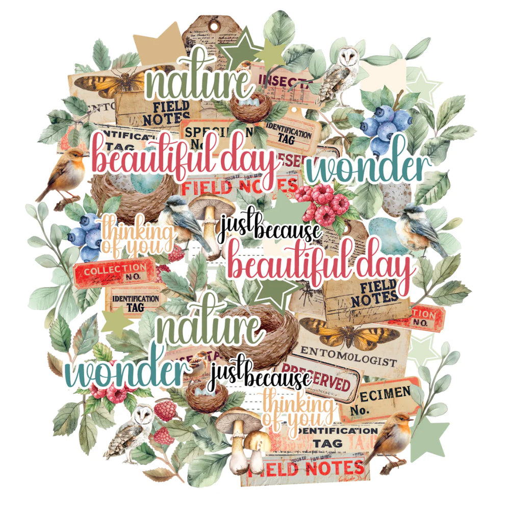 Botanical Chronicles Creative Cuts