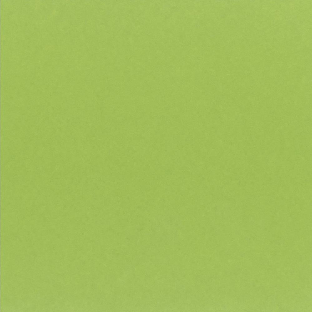 My Colors Cardstock - Key Lime