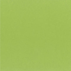 My Colors Cardstock - Key Lime 12x12 Cardstock