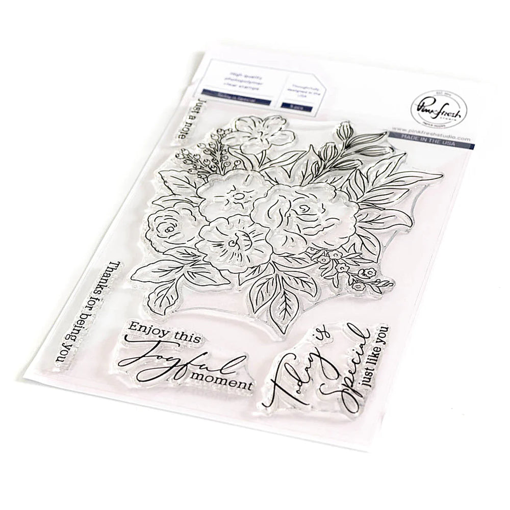 Today is Special Stamp Set