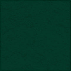 My Colors Cardstock - Forest Green