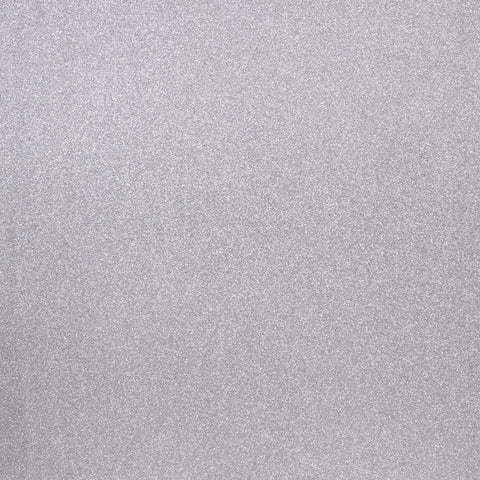 Glitter Paper - POW Silver