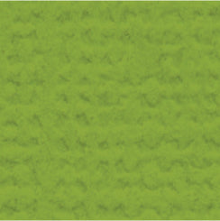 My Colors Cardstock - Mint Julep Canvas