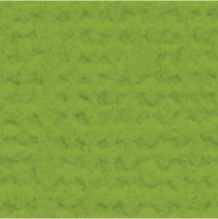 My Colors Cardstock - Mint Julep Canvas