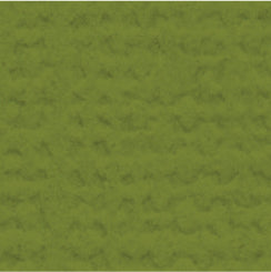 My Colors Cardstock - Spanish Moss Canvas