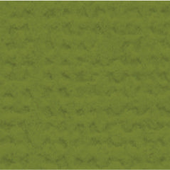 My Colors Cardstock - Spanish Moss Canvas