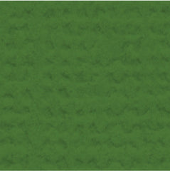 My Colors Cardstock - Parrot Canvas