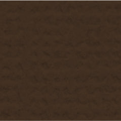 My Colors Cardstock - Cafe Ole Canvas