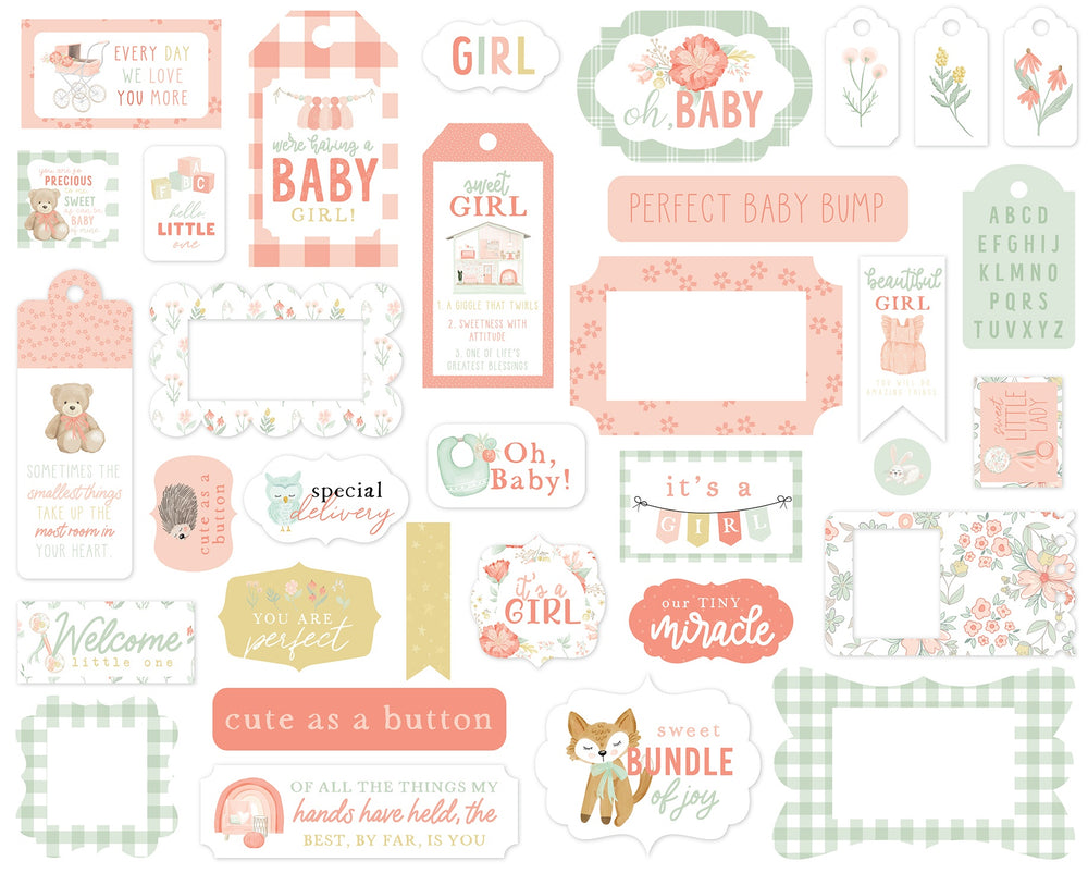 It's a Girl Frames & Tags Ephemera