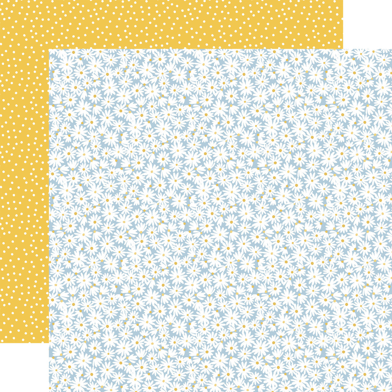 Here There and Everywhere Fresh Daisies Double-Sided Patterned Paper