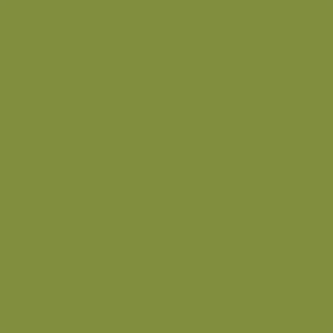 Welcome Autumn - Solid Green / Dk Orange