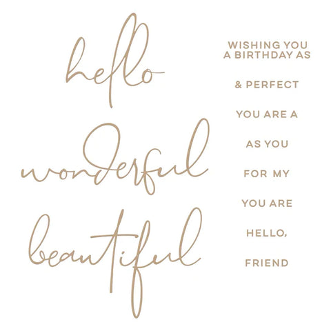Hello, Friend Sentiments Hot Foil Plate