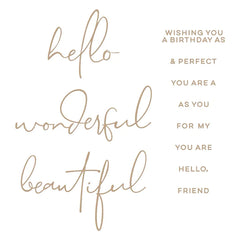 Hello, Friend Sentiments Hot Foil Plate