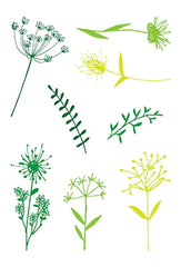 Floral Silhouette 4x6 Stamps